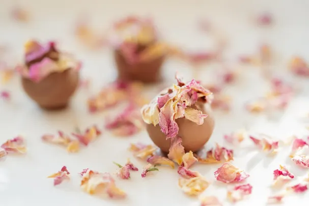 オット カシノ カジノ Android/iOS アプリ